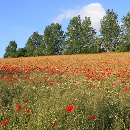 In For 3 Personen Lejlighed *