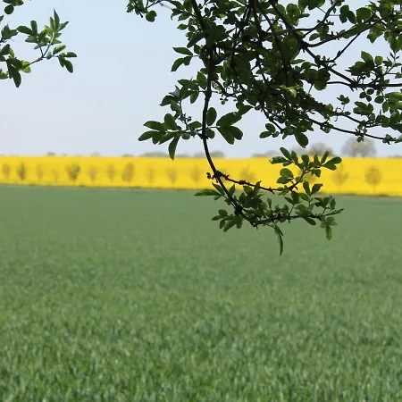 In For 3 Personen Lejlighed