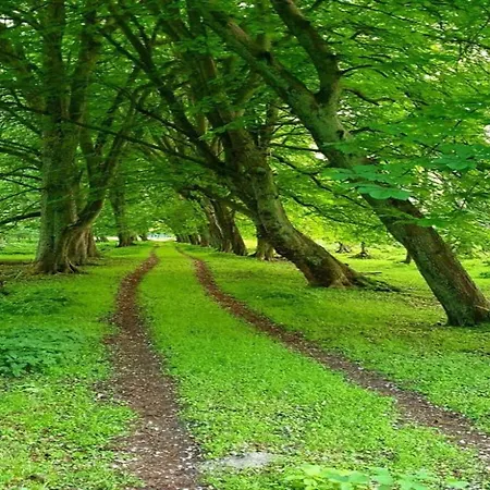 Lejlighed In For 3 Personen *